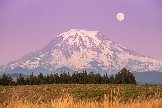 Mt. Rainier tour with Gandola ride at Sunrise and Paradise - A Day of Majestic Views and Scenic Diversity