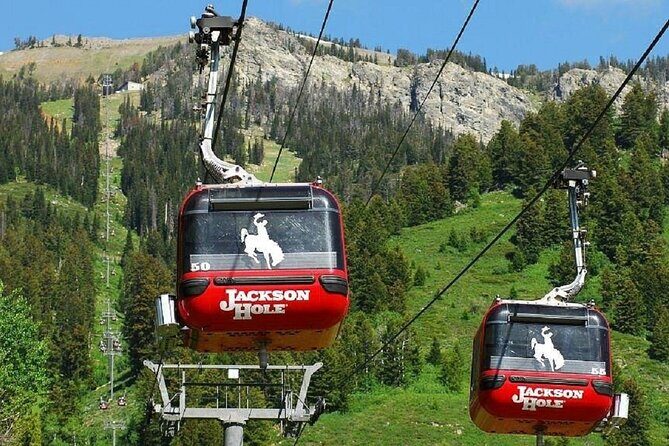 Mt Rushmore Yellowstone and Arches National Parks 6 day Tour - Final Thoughts