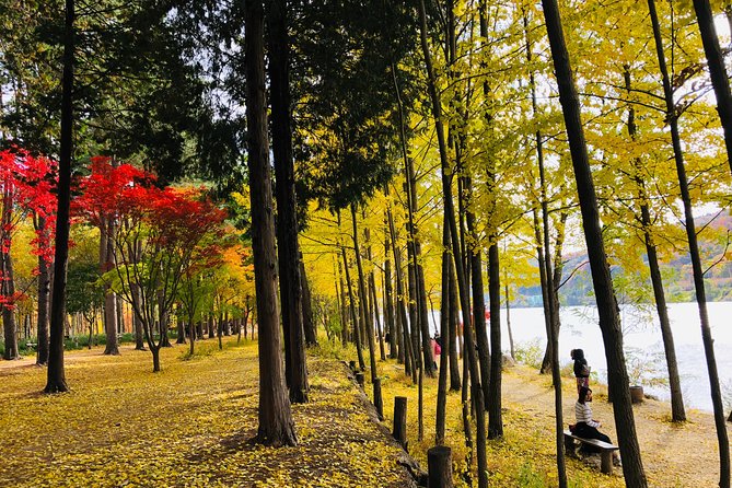 Mt. Seorak+Nami Island+Garden of Morning Calm Day Trip From Seoul - Cancellation Policy and Requirements