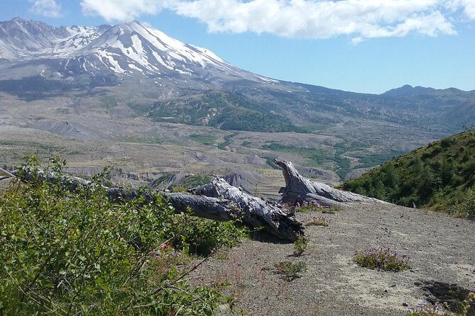 Mt St Helens Full Day Trip - Key Points