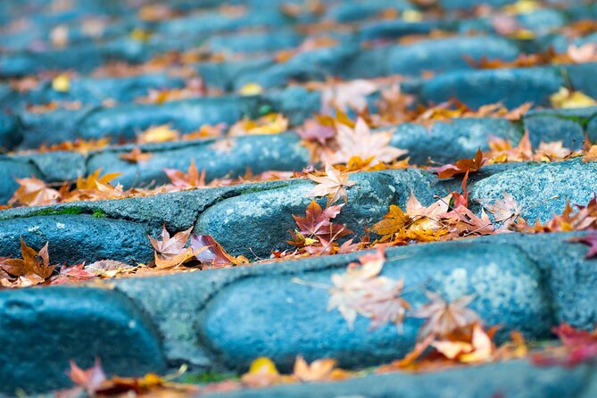 Mt.TAKAO Trekking 1 Day Tour - Pickup Information