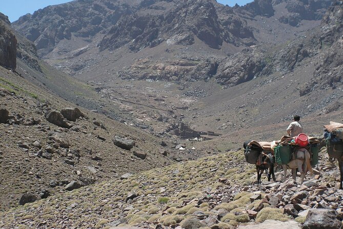 Mt Toubkal Ascent Express Trek 2 Days 1 Night - Pickup and Cancellation