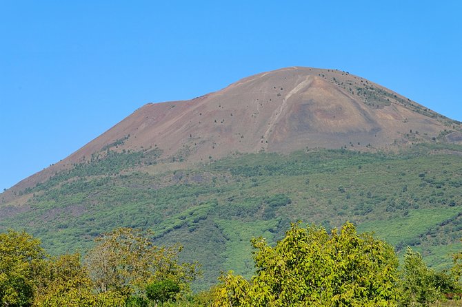 Mt Vesuvius Half-Day Trip From Naples - Participant Reviews and Feedback