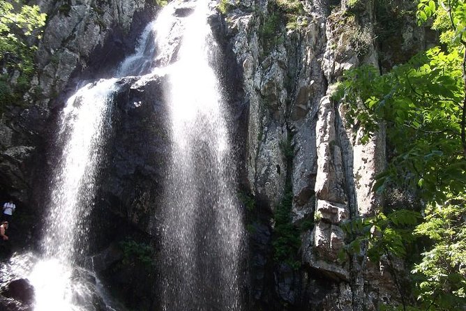 Mt. Vitosha and Boyana Waterfall Hiking Tour From Sofia - Tour Details and Requirements