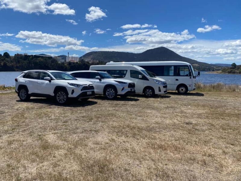 Mt Wellington & Hobart: Shore Excursion (Private Tour) - Exploring Hobart and Mt Wellington: A Private Shore Excursion Worth Considering