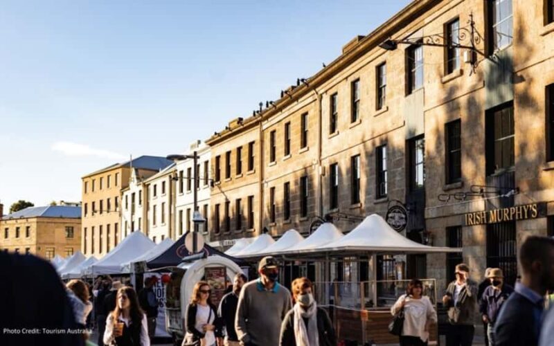 Mt Wellington & Hobart: Shore Excursion (Private Tour) - Who Should Consider This Tour?