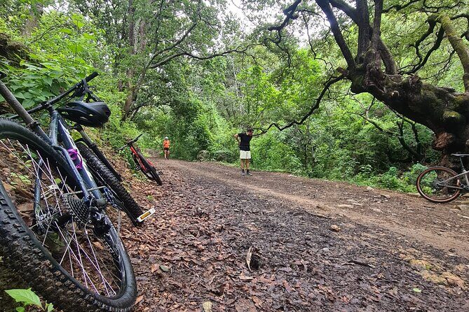 MTB Bike Tour: Monkey Tree + Tule Tree - Key Points