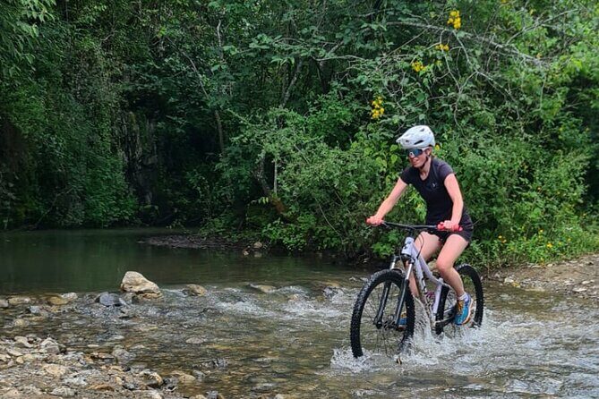 MTB Bike Tour: Monkey Tree + Tule Tree - What to Expect on the MTB Bike Tour