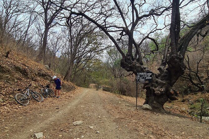 MTB Bike Tour: Monkey Tree + Tule Tree - Who Should Consider This Tour?