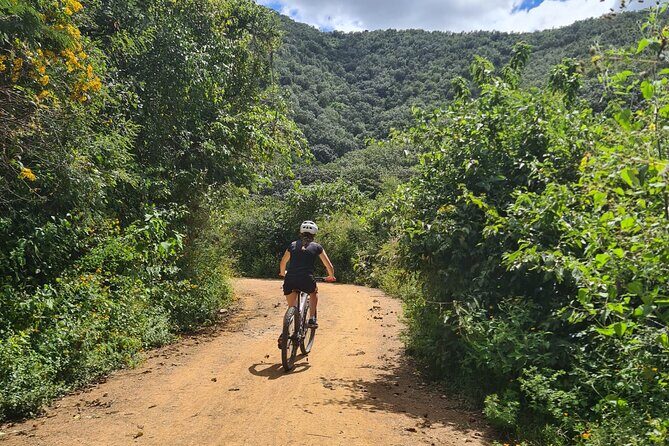 MTB Bike Tour: Monkey Tree + Tule Tree - FAQ