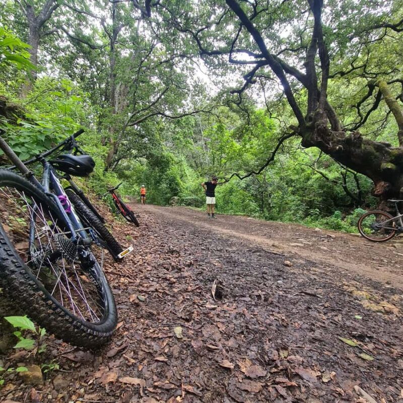 MTB Bike tour to the Monkey Tree + Bread Maker & Tule tree - Introduction