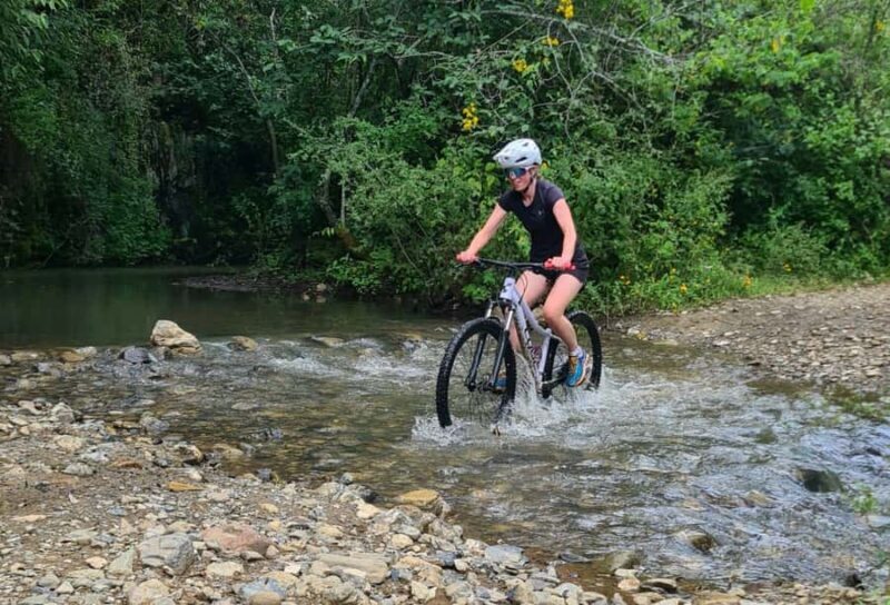 MTB Bike tour to the Monkey Tree + Bread Maker & Tule tree - Key Points