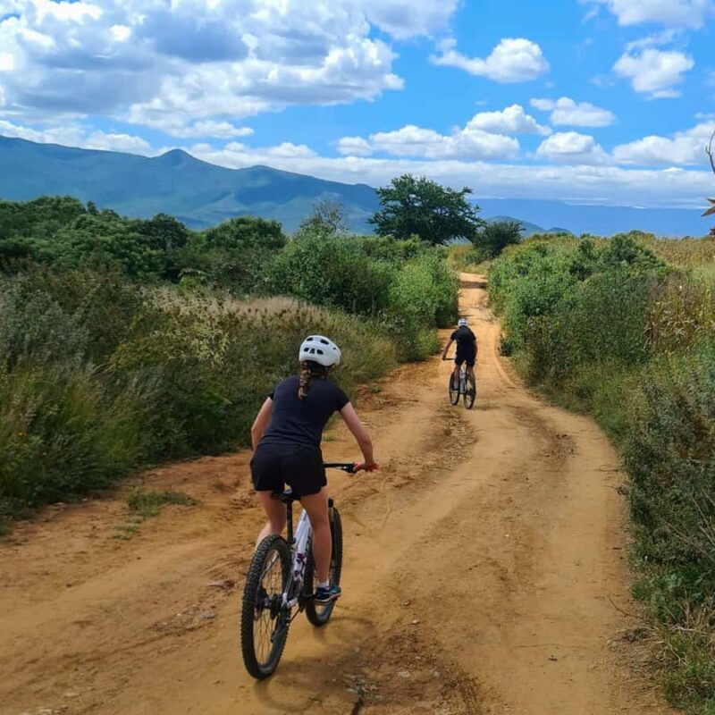 MTB Bike tour to the Monkey Tree + Bread Maker & Tule tree - What to Expect and Why It Matters