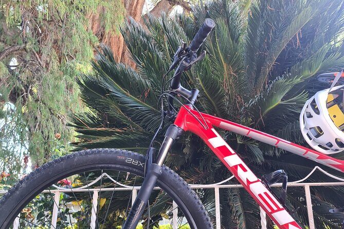 MTB Bike Tour: Tree of the Tule on mountain trails - The Sum Up: A Great Mix of Nature, Culture, and Adventure