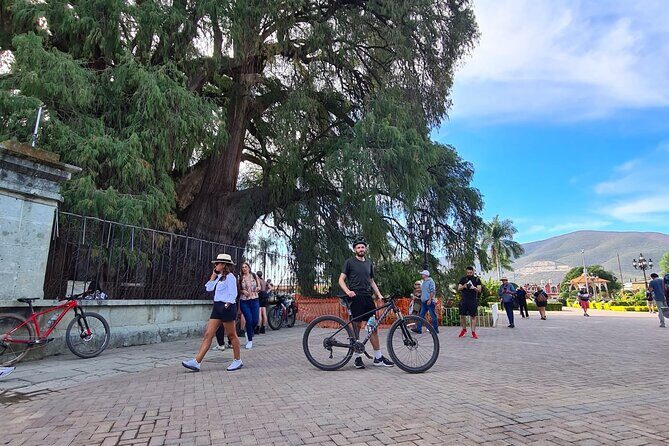 MTB Bike Tour: Tree of the Tule on mountain trails - FAQ