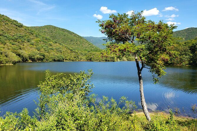 MTB Guided Ride, Tule Tree & Lake Half-Day - Why This Tour Offers Great Value