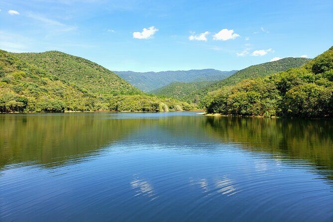 MTB Guided Ride, Tule Tree & Lake Half-Day - Authentic Experiences and Participant Feedback