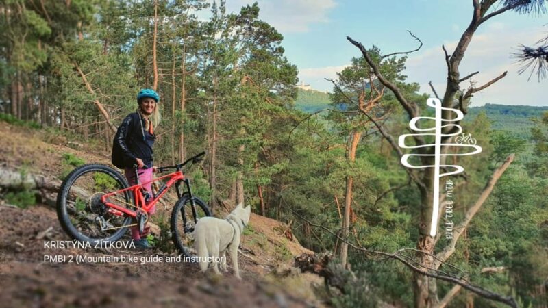 MTB Tour Around Máchovo Lake - Highlights of the Experience