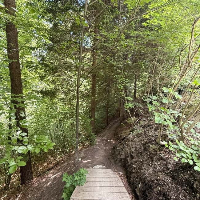 Mtb tours Innsbruck (experience the most beautiful trails in Innsbruck) - The Sum Up