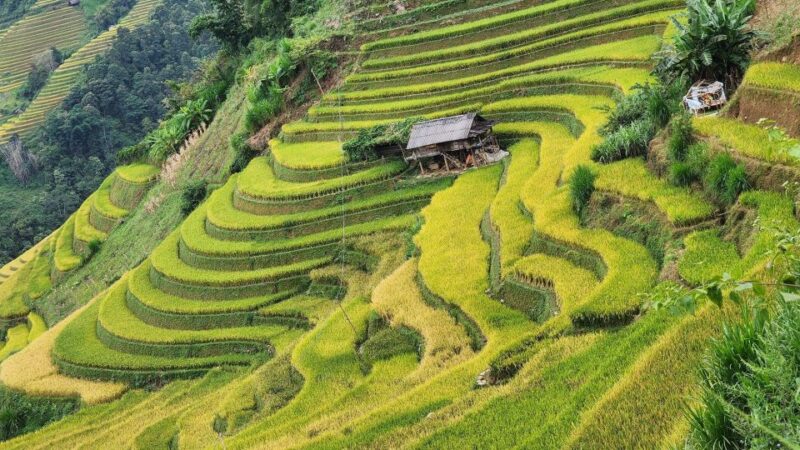 Mu Cang Chai, Sapa, Bac Ha Rice Terraces 5 Days 4 Nights - Inclusions and Exclusions