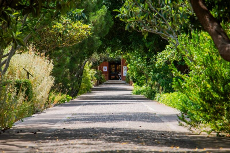 MUCBO | Botanic Garden of Sóller - Balearic Museum of Natural Sciences - Key Points