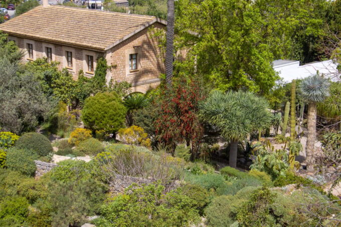 MUCBO | Botanic Garden of Sóller - Balearic Museum of Natural Sciences - Sustainable Conservation Efforts