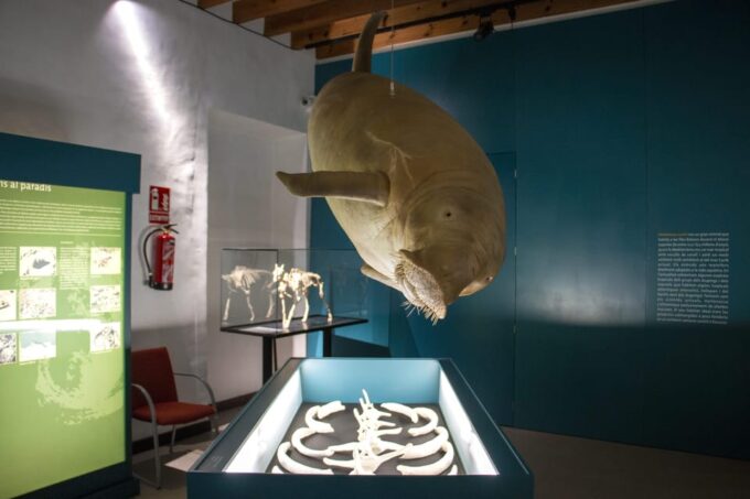 MUCBO | Botanic Garden of Sóller - Balearic Museum of Natural Sciences - Frequently Asked Questions
