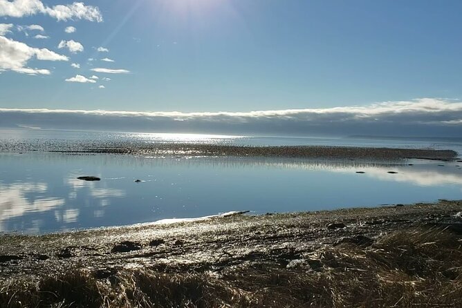 Mud Bay Park Bicycle Rental - Good To Know