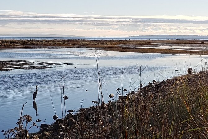 Mud Bay Park Bicycle Rental - Customer Reviews and Ratings