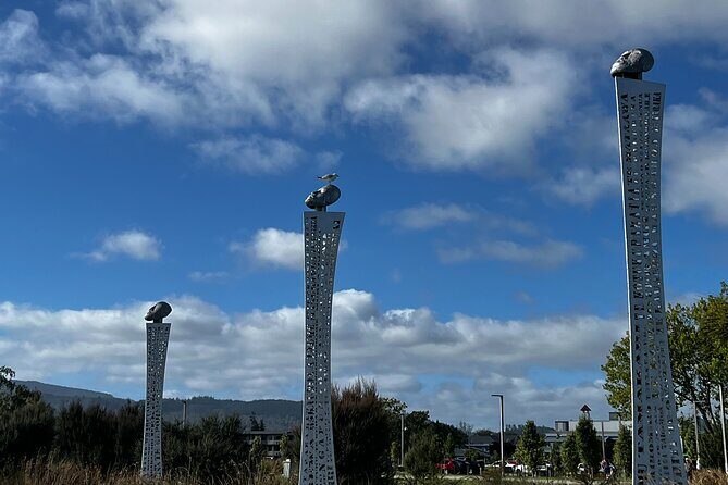 Mud Spa & Nature: Auckland to HELL's GATE, Rotorua & Blue Springs - Who Should Take This Tour?