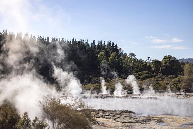 Mud Spa & Nature: Auckland to HELL's GATE, Rotorua & Blue Springs - Final Thoughts