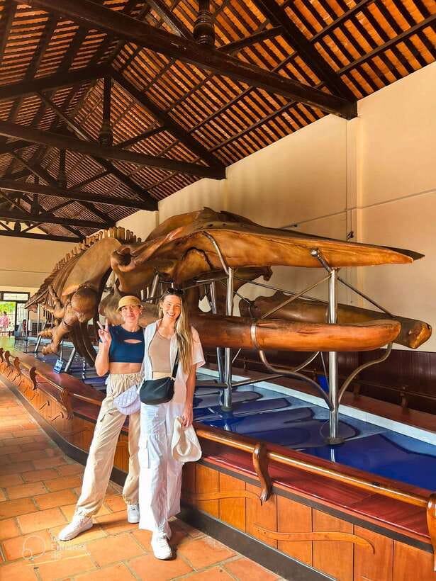 Mui Ne: Best Day to Ta Cu Mountain Cable Car & Lying Buddha - Frequently Asked Questions