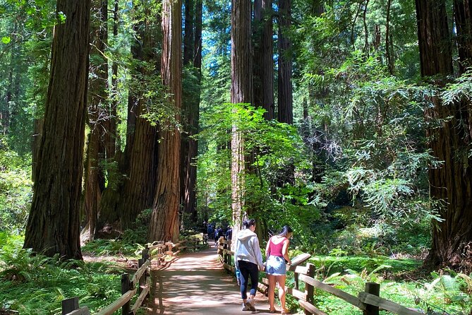 Muir Giant Redwood Trees 3 Hour Private Tour W Golden Gate Bridge - Meeting and Pickup