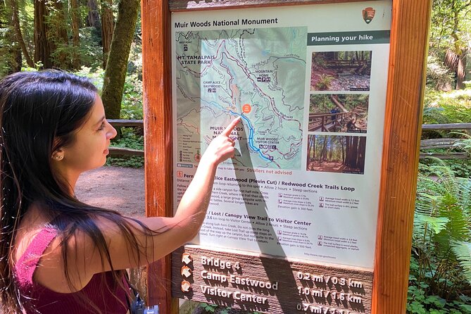 Muir Giant Redwood Trees 3 Hour Private Tour W Golden Gate Bridge - Visitor Experience