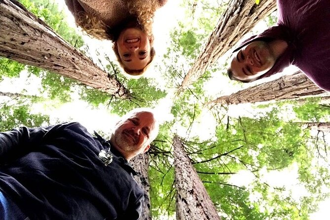Muir Giant Redwood Trees 3 Hour Private Tour W Golden Gate Bridge - Traveler Testimonials