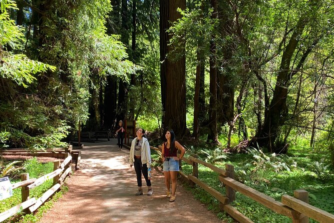 Muir Giant Redwood Trees 3 Hour Private Tour W Golden Gate Bridge - Booking and Cancellation