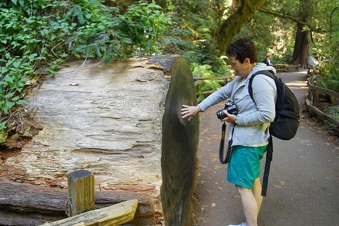 Muir Woods Tour of California Coastal Redwoods - Recap