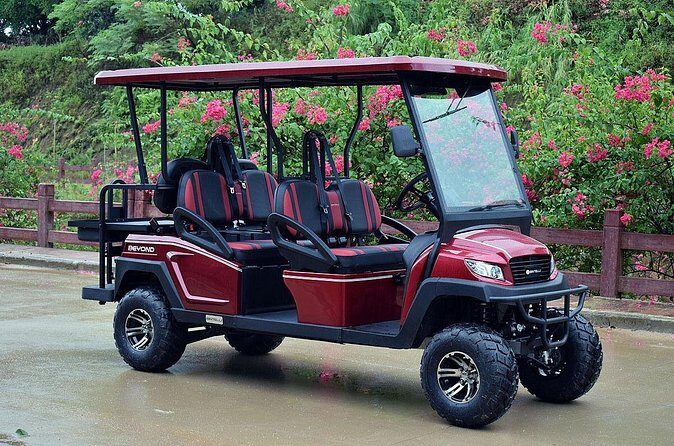 Multi Day 6 Passenger LSV Golf Cart Rental - The Sum Up: Is This the Right Choice for You?
