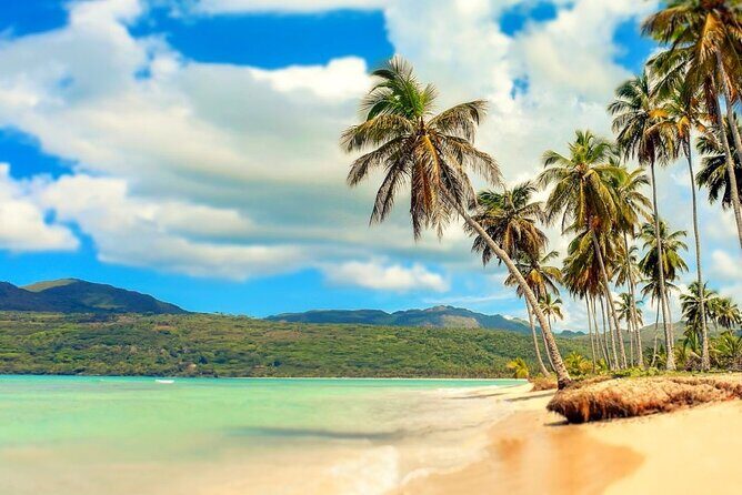 Multi-day Barbados 4WD Tour from Accra Beach Hotel - What Makes This Tour Stand Out?