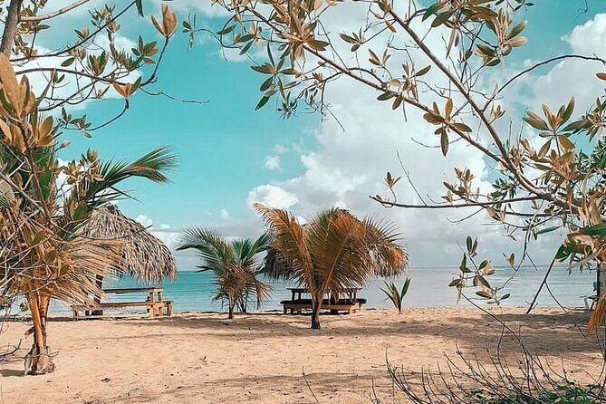 Multi-day buggy and Party Boat in Punta Cana - The Sum Up