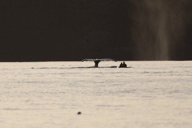 Multi day Kayak Expedition Sitka, Alaska - Who Will Love This Tour?