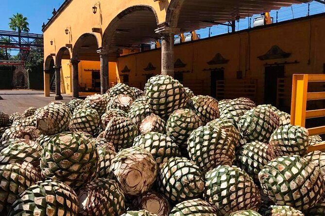 Multi Day Tequila Tour - Final Thoughts