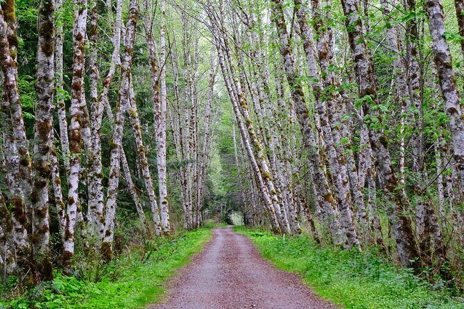 Multi Day Trek from Vancouver to Victoria - Key Points