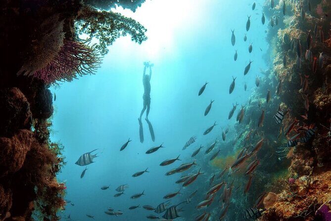 Multi-Day Underwater Sea Scooter Adventure with Free Delivery - A Closer Look at the Underwater Sea Scooter Experience