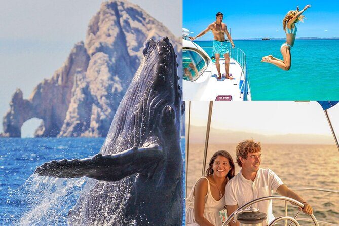 Multimillion Yacht Cabo Cruise Sunset or Snorkel Optional PICKUP! - Detailed Review of the Cabo Yacht Cruise Experience