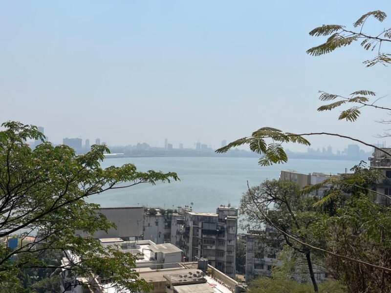 Mumbai + Dabbawalla + Slum + and Dhobighat Tour With Pickup - Dabbawalla Delivery System