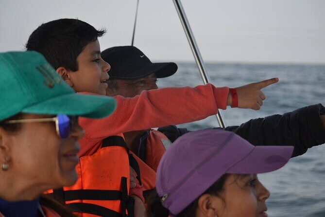 Munba Ballena Tour by Power Boat - Final Thoughts