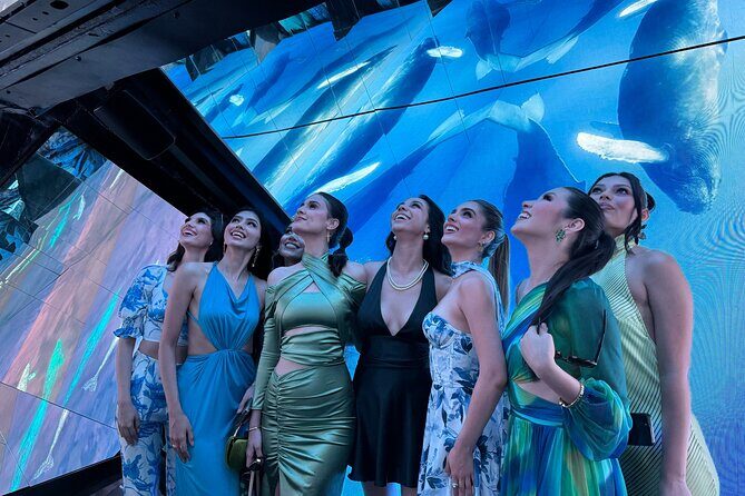 Munba National interactive Whale Museum - FAQ: Your Questions Answered