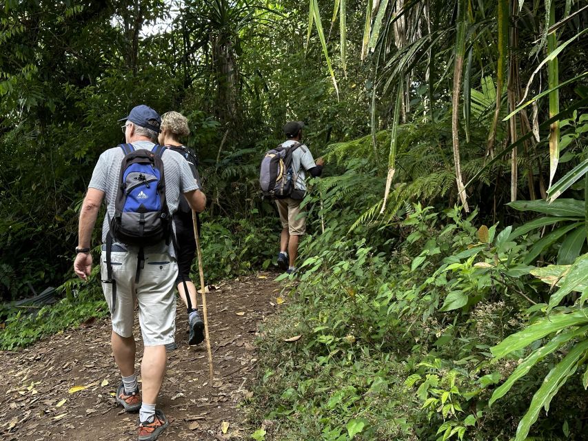 Munduk/Bali: Jungle Trek, Canoe, Waterfall & Cycling - Excluded Expenses