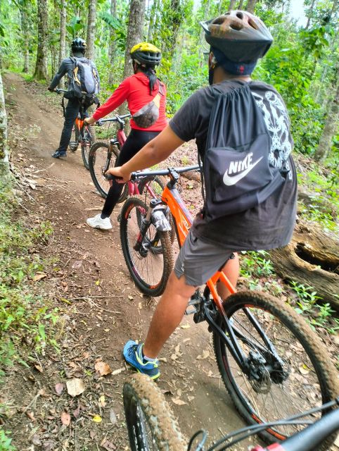 Munduk/Bali: Jungle Trek, Canoe, Waterfall & Cycling - Exploring Balis Wilderness